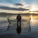 Les conséquences environnementales de la pêche intensive