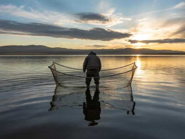 Les conséquences environnementales de la pêche intensive