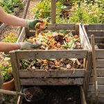 Faire son compost maison : transformer ses déchets de cuisine en ressource précieuse pour le jardin
