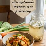 Bienfaits du tofu lactofermenté : un allié végétal riche en saveurs et en probiotiques