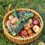 Panier maxi fruits et légumes à lyon : la solution idéale pour les grandes familles