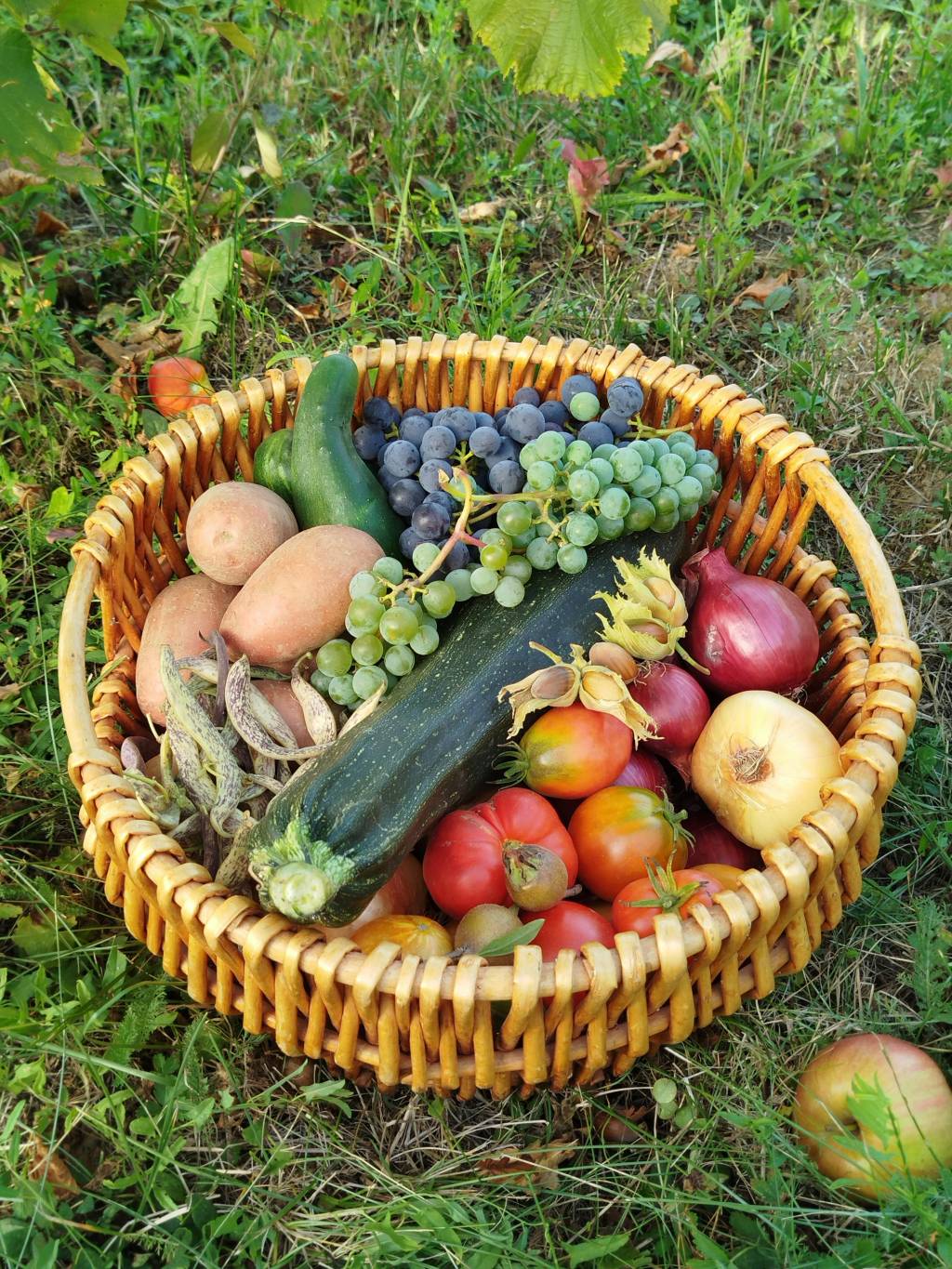Panier maxi fruits et légumes à lyon : la solution idéale pour les grandes familles